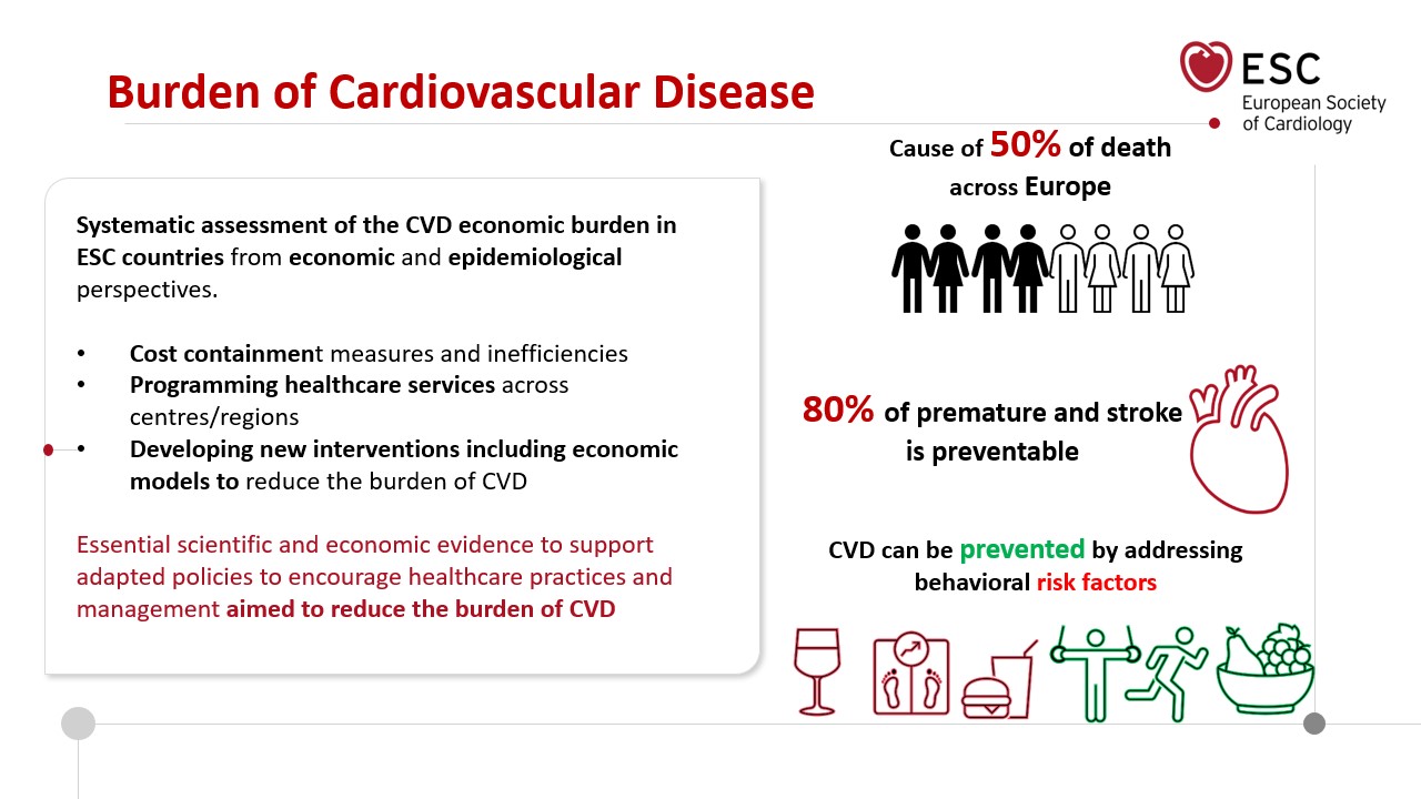 Burden of disease - Slide 2